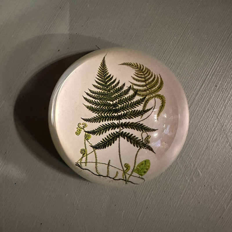 Round ceramic knob with fern design on a gray surface