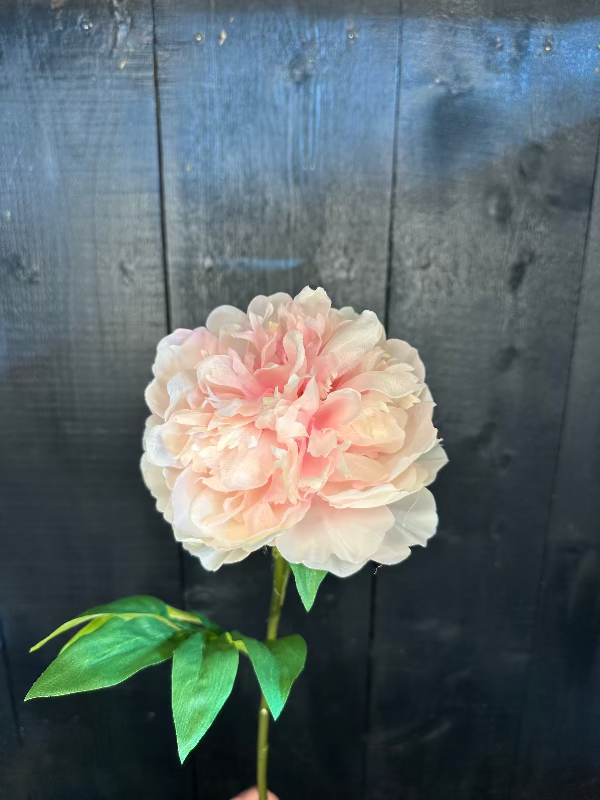 Pink artificial flower against a dark wooden background