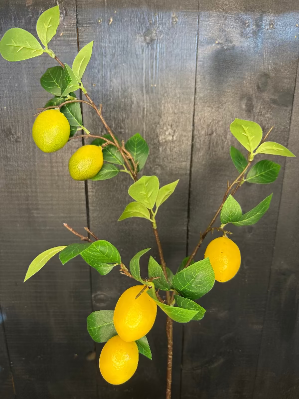 Artificial lemon branch with green leaves against a dark wooden background