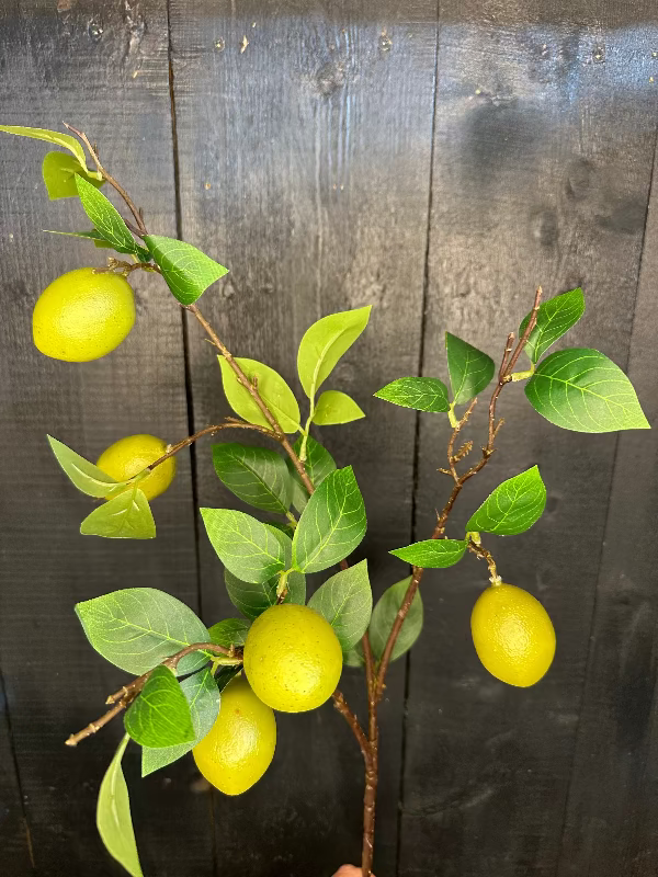 Artificial lime branch with green leaves against a dark wooden background