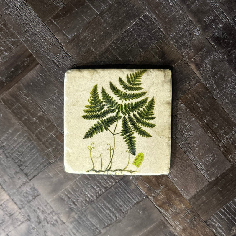 Square tile with a green fern design on a wooden floor