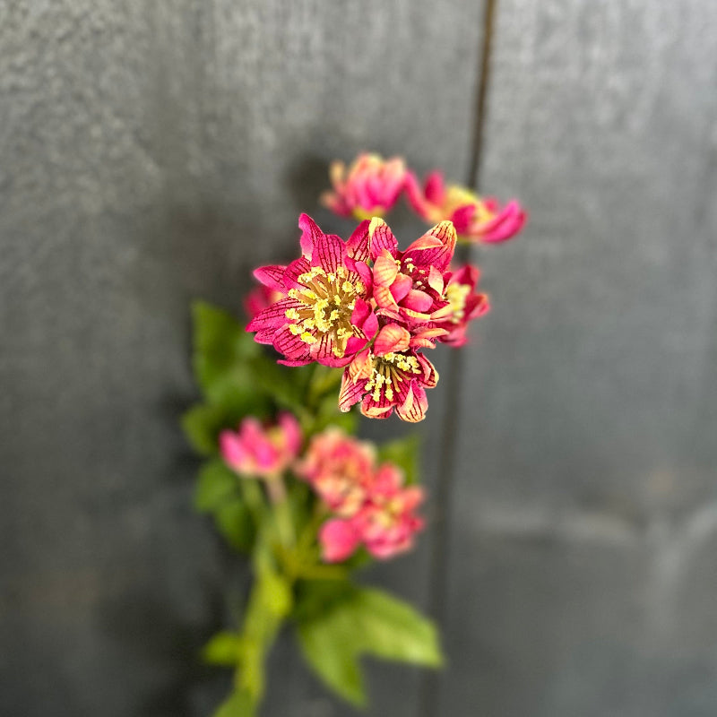 Faux Astrantia Spray Dark Pink