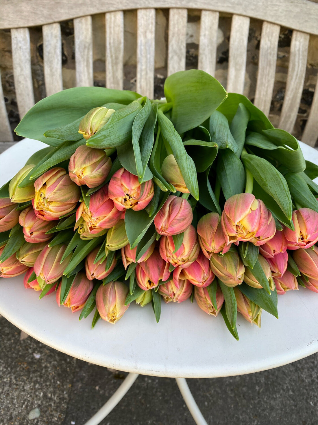 Tulip Bunch