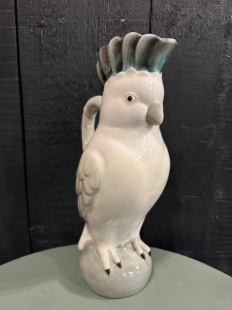 Cockatoo Pitcher