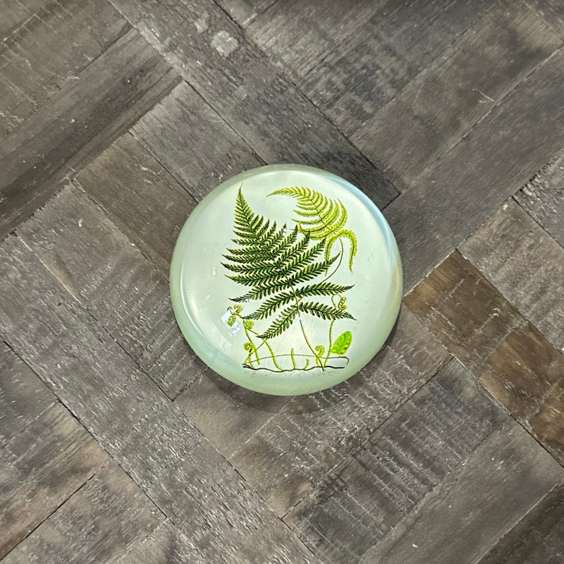 Round glass object with fern design on a wooden surface