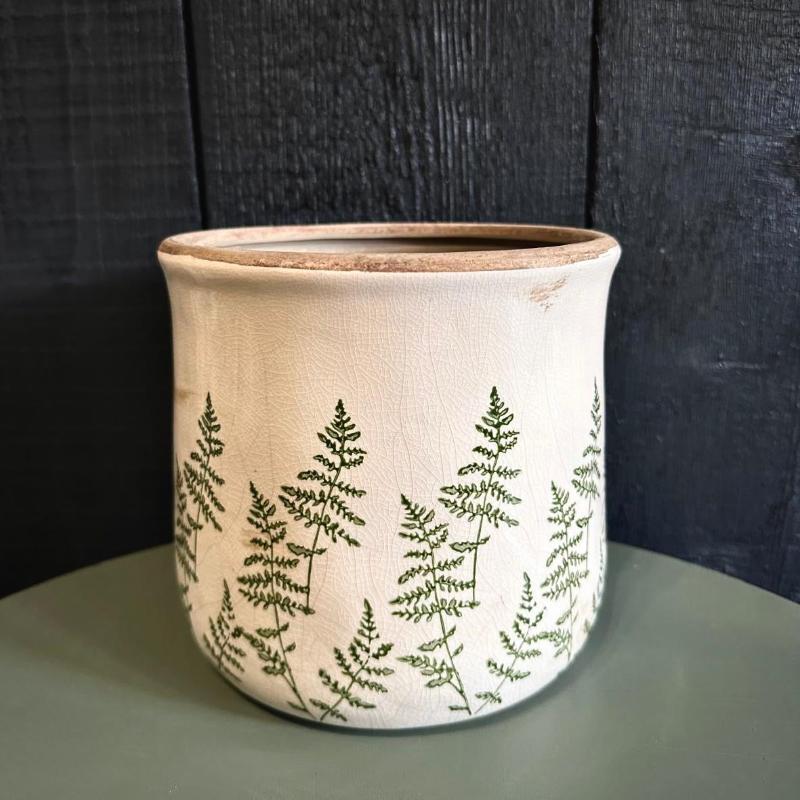 Fern Plant Pot