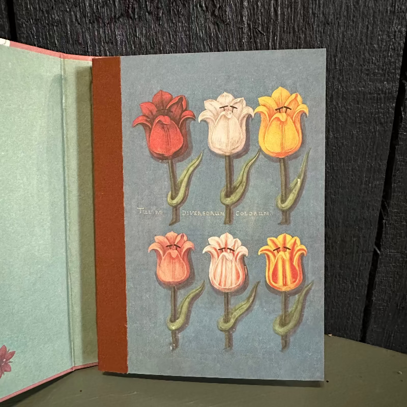Postcard Book - Festival of Flowers