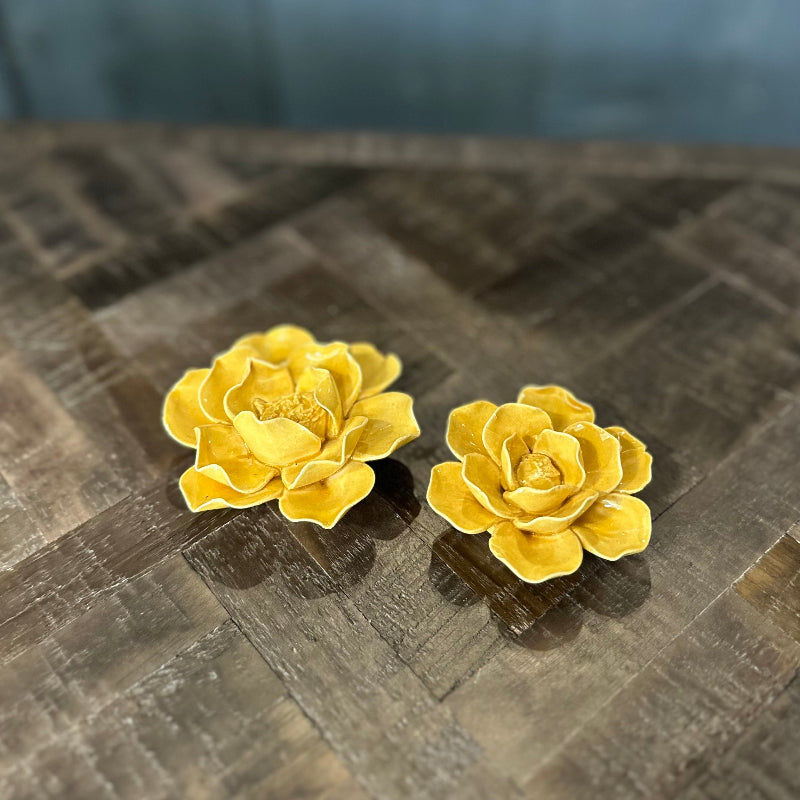 Two yellow flower-shaped objects on a textured surface