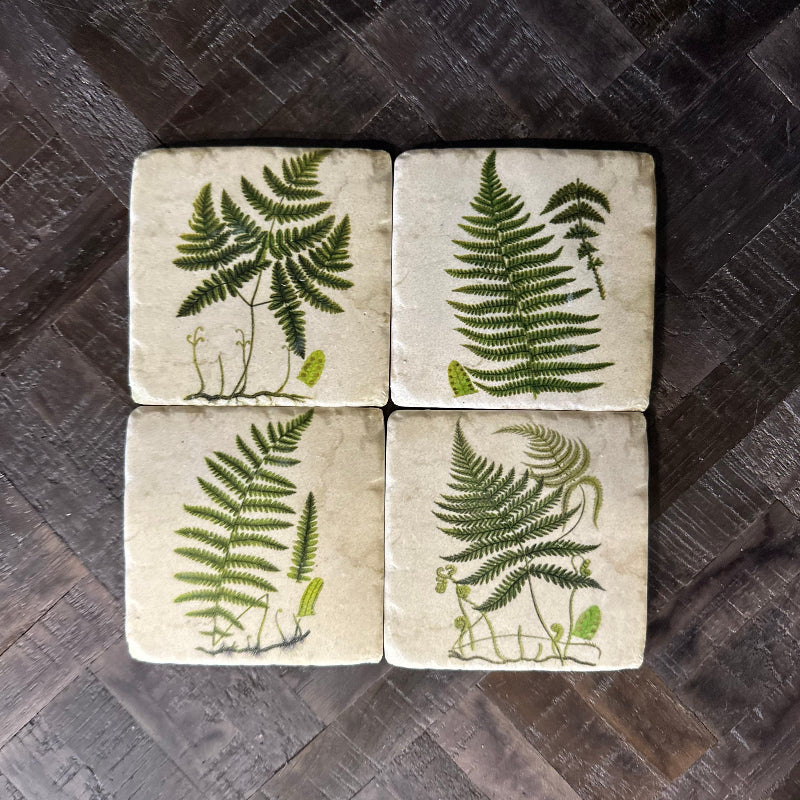 Four square tiles with fern illustrations on a dark wooden surface