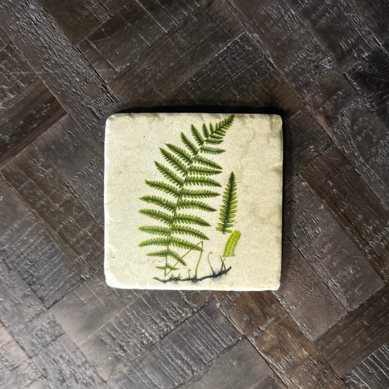 Square stone coaster with pressed fern design on a wooden surface