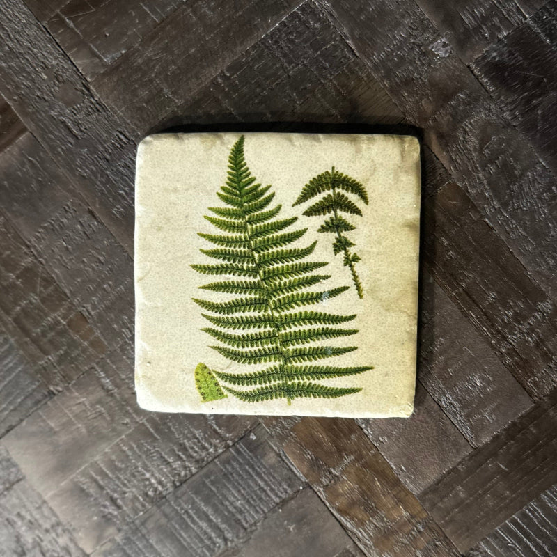 Square stone coaster with a pressed fern design on a wooden surface