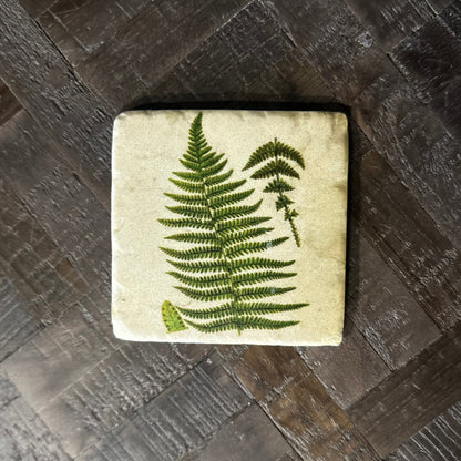 Square stone coaster with a pressed fern design on a wooden surface