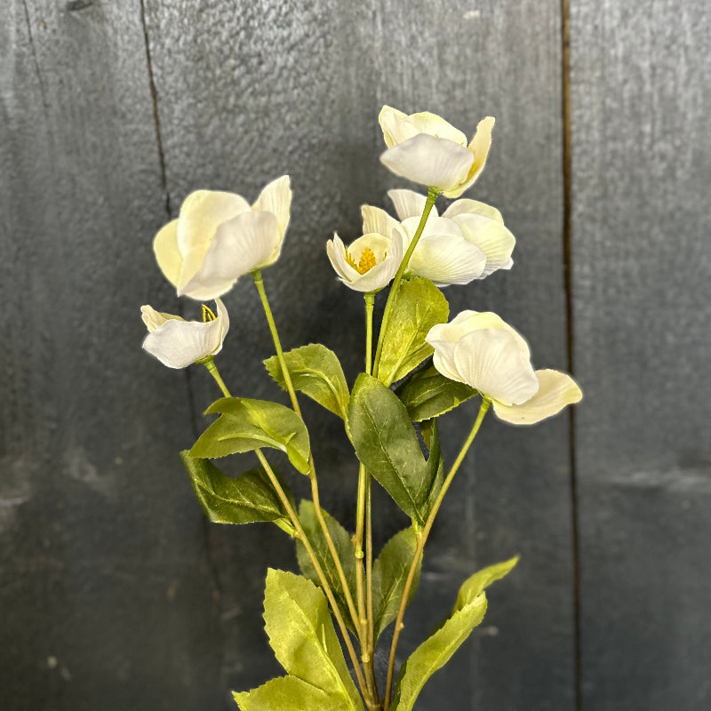 Faux Hellebore White