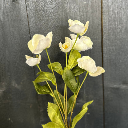 Faux Hellebore White