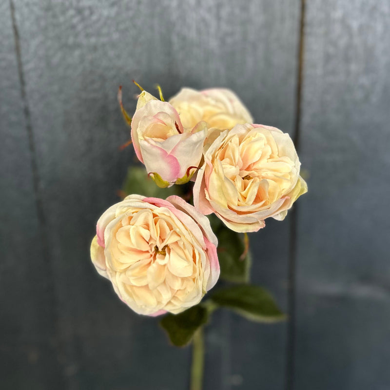 Faux Tea Rose Blush