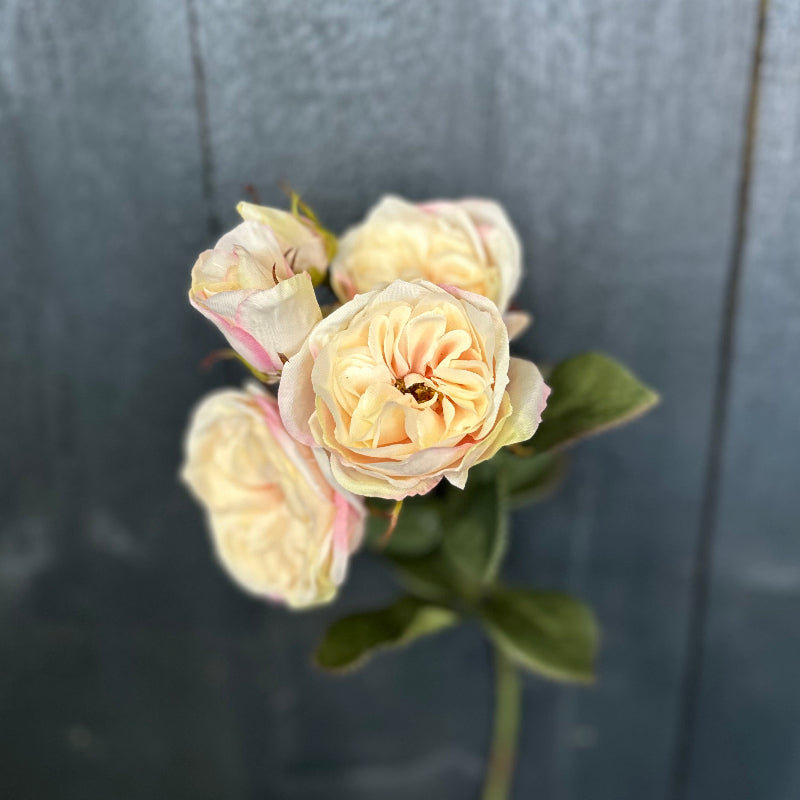 Faux Tea Rose Blush