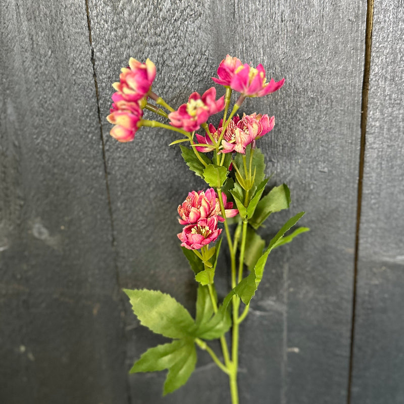 Faux Astrantia Spray Dark Pink