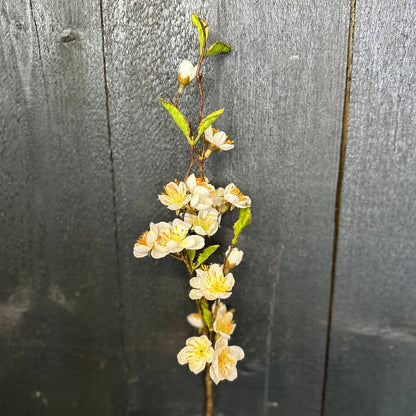 Faux Cherry Blossom White